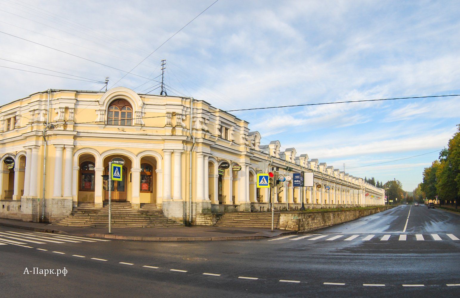 день города пушкина